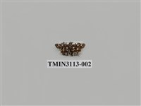 藏品(螟蛾210)的圖片